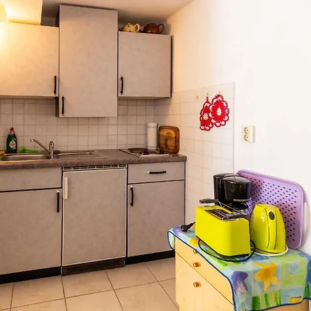 公寓 Ferienunterkuenfte Villmann *